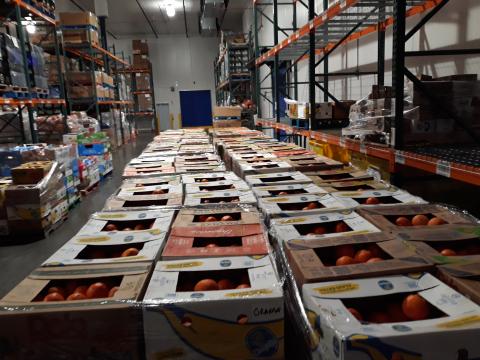 Over 14 pallets of oranges ready for distribution